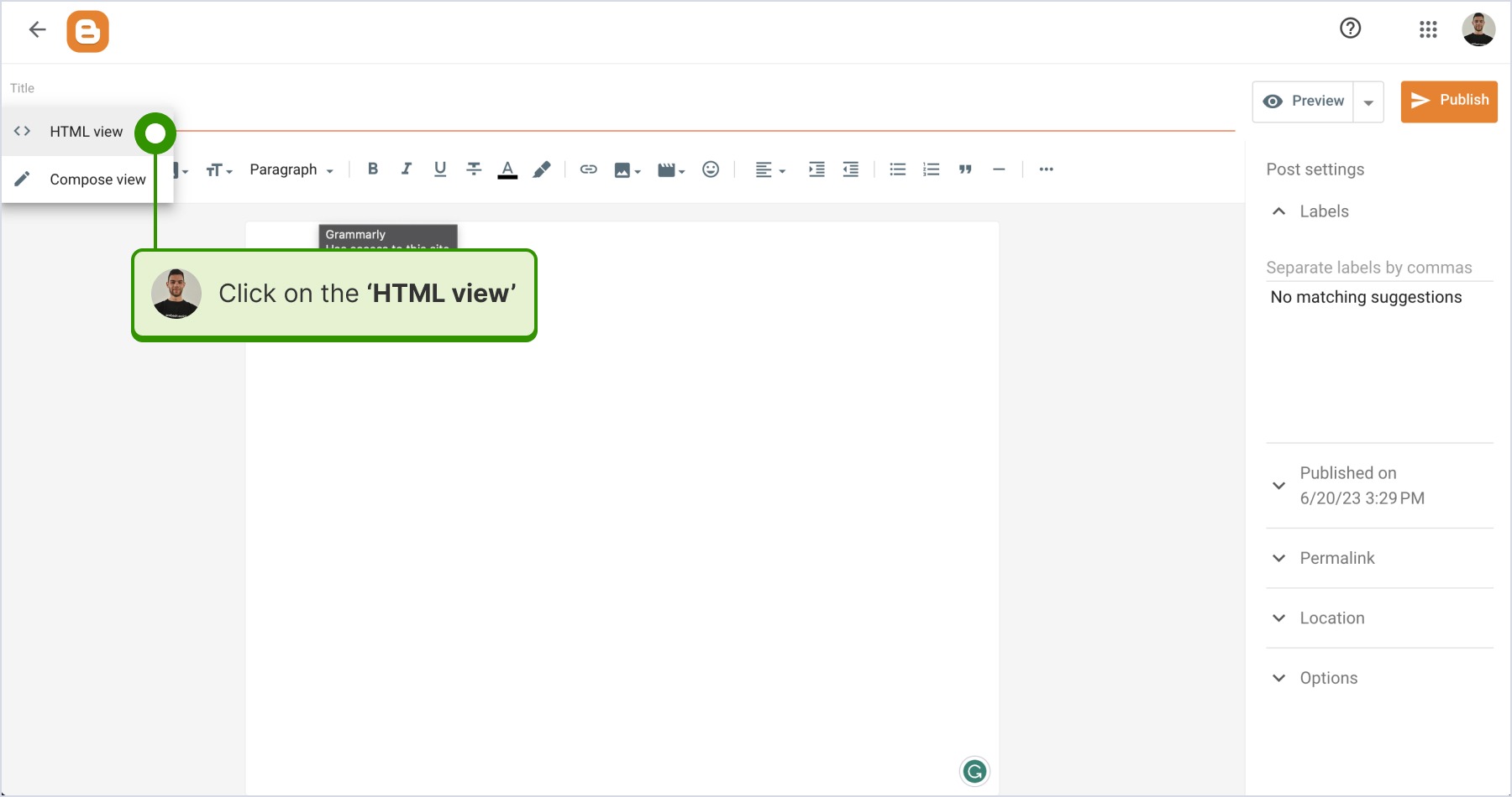 Selecting the 'HTML view' option.